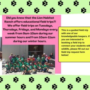 Educational Field Trips at the Lion Habitat Ranch