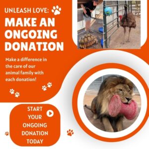 Make An Ongoing Donation