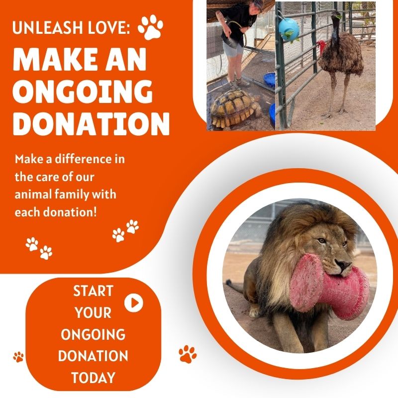 Make An Ongoing Donation