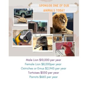 Sponsor an Animal