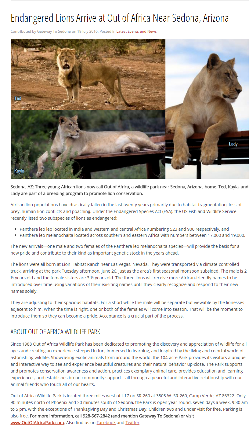 Endangered Lions Arrive at Out of Africa Near Sedona, Arizona.clipular