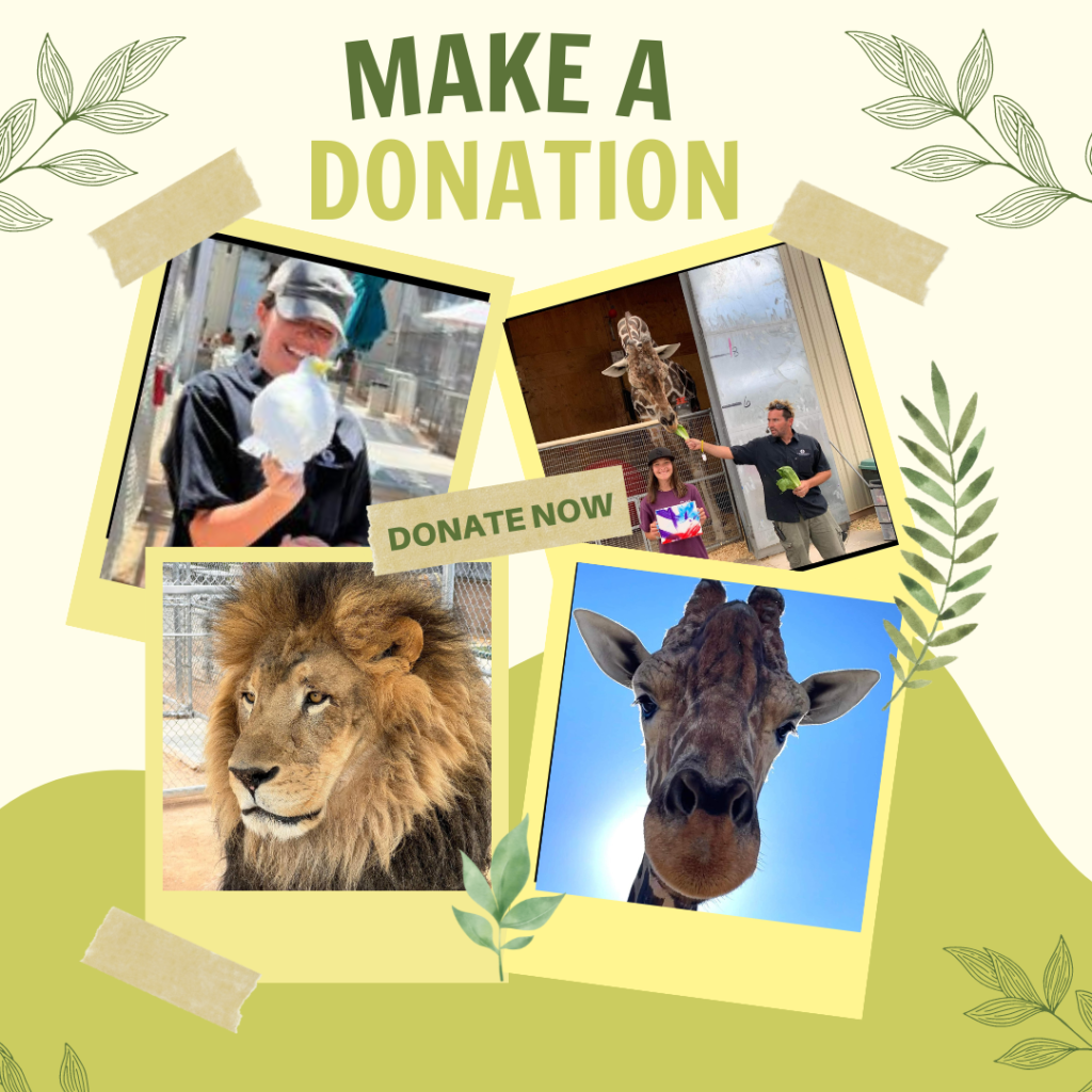 Make A One Time Donation