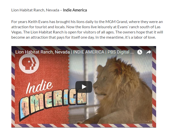 Indie America- Our picks from PBS Digital Studios - KLRU-TV, Austin PBS.clipular