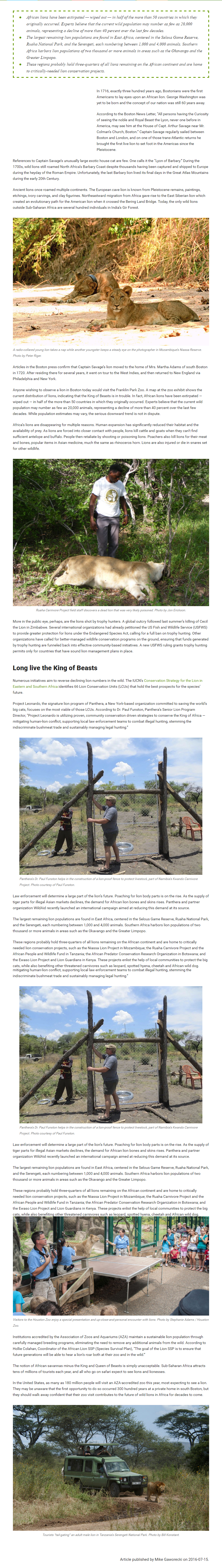 What future is there for Africa’s lions-.clipular